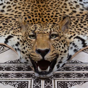 leopard print rug, leopard print area rug, leopard rugs, area rugs leopard print, leopard area rug, leopard print rugs, leopard runner rug, 